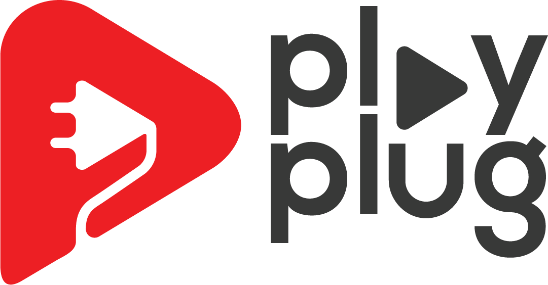 PlayPlug logo